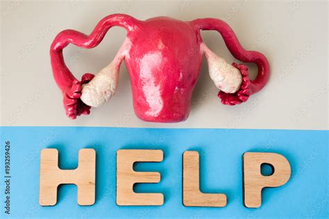 Uterus with Help Word. Anatomical Model of Human Uterus is on Grey