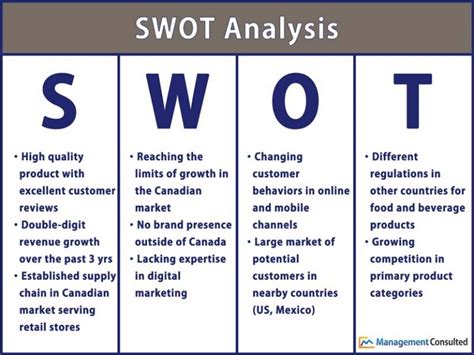 Utilizing SWOT In A Business Case Management Consulted