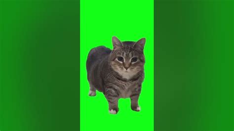 🍑 Uu_Kitty Leaked [CLIP] 178 Videos