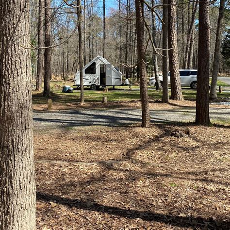 Uwharrie national forest camping. When it comes to mass appeal, Arrowhead Campground is a ture sharpshooter. Dotted with both RV-friendly and primitive, walk-in style campsites, this beguiling oasis in the Uwharrie National Forest surely fancies every niche demographic. 