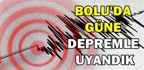 Uyandik Halı ve Koltuk Yıkama