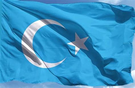Uygur türkleri bayrağı