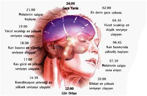 Uykuda salgilanan hormon