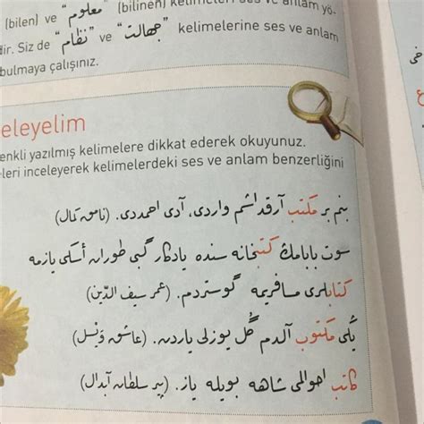 Uzun metinleri türkçeye çevirme