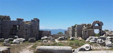 Uzunbag Halı ve Koltuk Yıkama