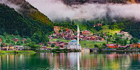 Uzungol Halı ve Koltuk Yıkama