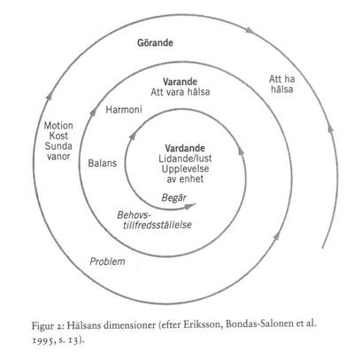 Vårdande relation eriksson