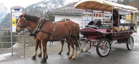 Véhicules hippomobiles à assistance électrique