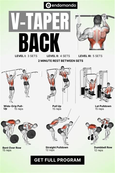 V taper Back workout - balustradellc