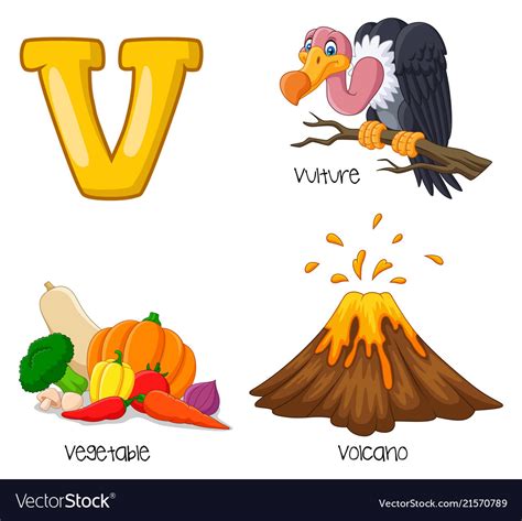 V alphabet vector image on VectorStock in 2020 Alphabet activities