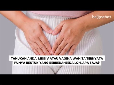 VAGINA MONTOK animasi dewasa & suara desahan referensi www indo bokep com scene spesial belum direkam tubuh menggoda terpana sampai lupa pemburu foto mesum image 1
