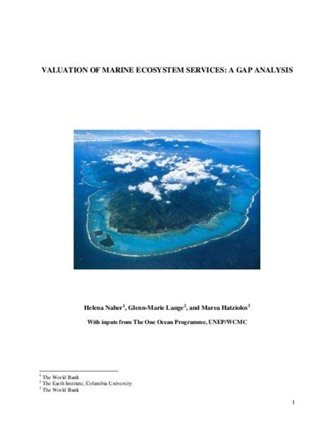 VALUATION OF MARINE ECOSYSTEM SERVICES: A GAP ANALYSIS - raincitystudios.com