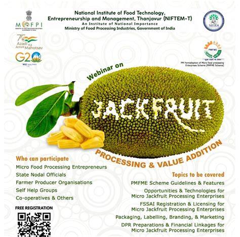 Value addition of Jackfruit Opportunities for emerging entrepreneurs - raincitystudios.com