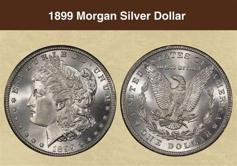 Value of Morgan Silver Dollar Coins | Price Guide and … - balustradellc