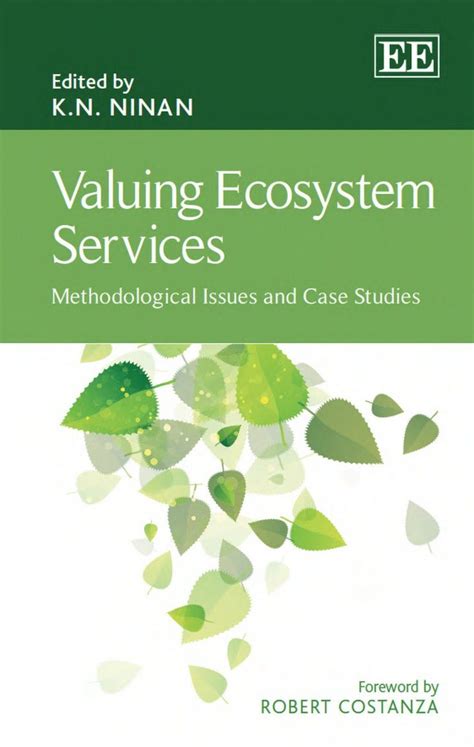 Valuing ecosystem services - raincitystudios.com