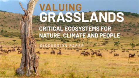 VALUING GRASSLANDS - The Nature Conservancy - raincitystudios.com