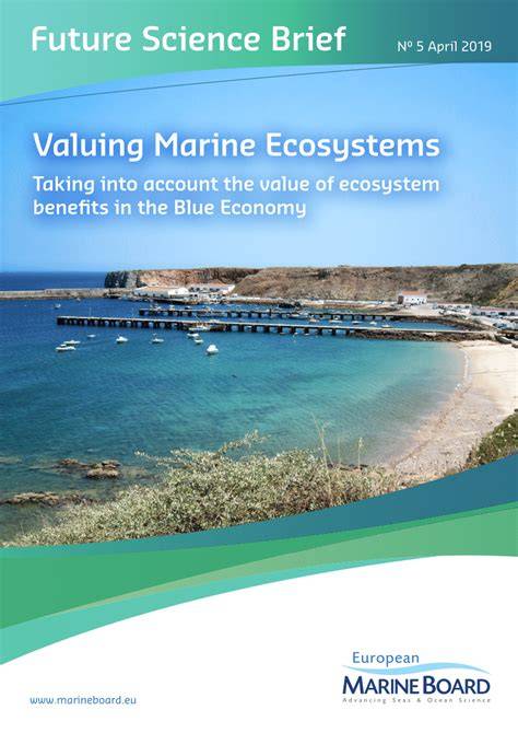 VALUING IRELAND’S BLUE ECOSYSTEM SERVIC - University of … - raincitystudios.com