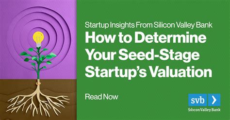Valuing Your Seed-Stage Startup: Key Methods - balustradellc