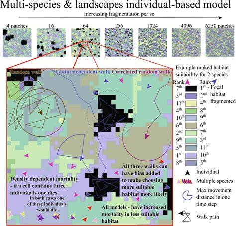 Variation in species-specific responses to habitat fragmentation and ... - raincitystudios.com