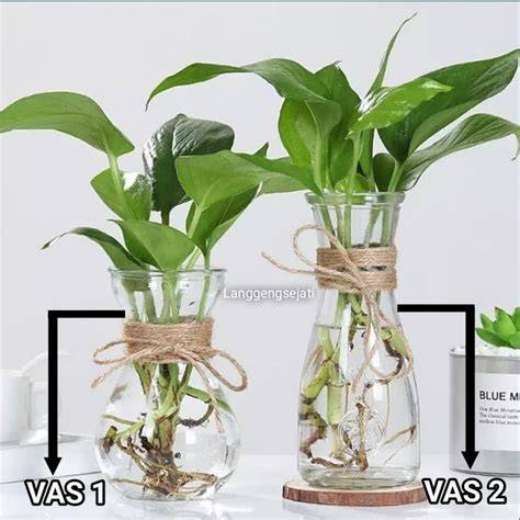 vas kaca anyaman mendong bunga kering - Shopee Indonesia - raincitystudios.com