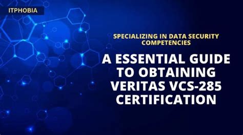 VCS-285 Prüfungs Guide