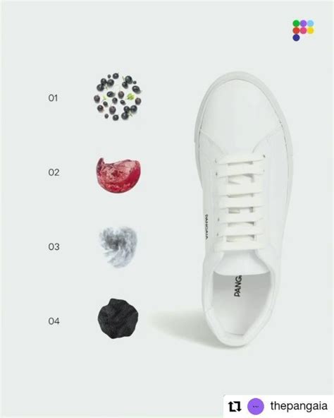 VEGEA: innovative biomaterials for fashion & design