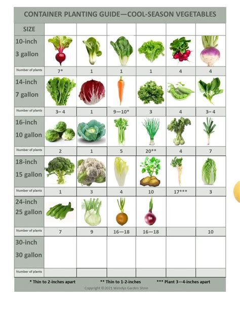 Vegetable Container Size Standards (With Chart) - raincitystudios.com