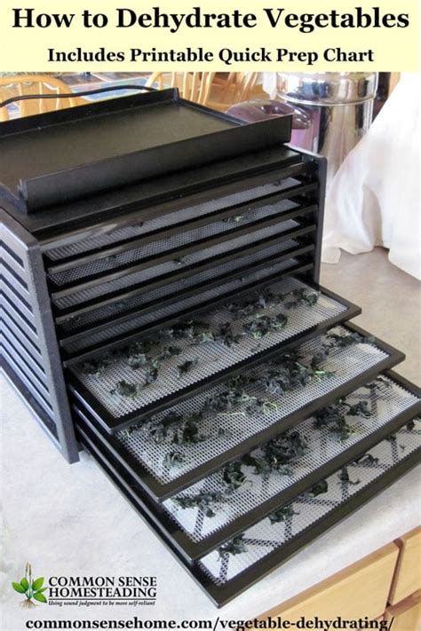 Vegetable Dehydrating - How to Dry Vegetables for Storage - balustradellc