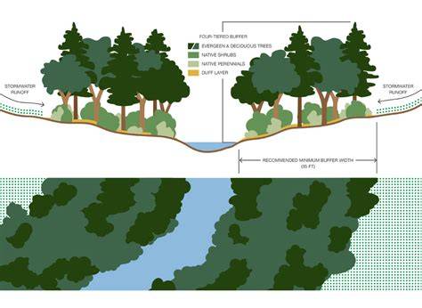 Vegetated Buffers - U.S. Environmental Protection Agency - raincitystudios.com