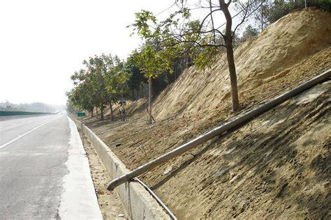 Vegetation in Slope Stability | BaseCore - raincitystudios.com