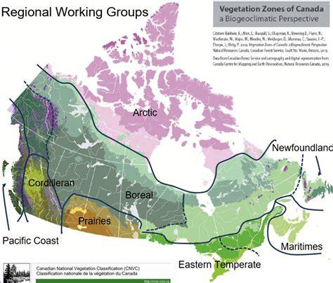 Vegetation Regions - The Canadian Encyclopedia - raincitystudios.com