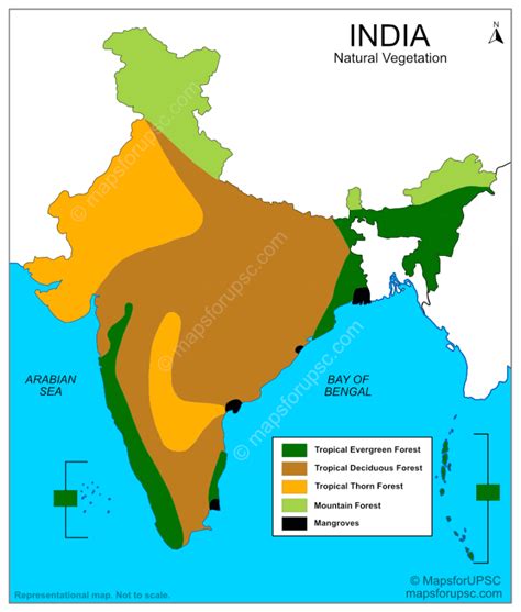 Vegetation types of India - Mohanlal Sukhadia University - muktibox.com