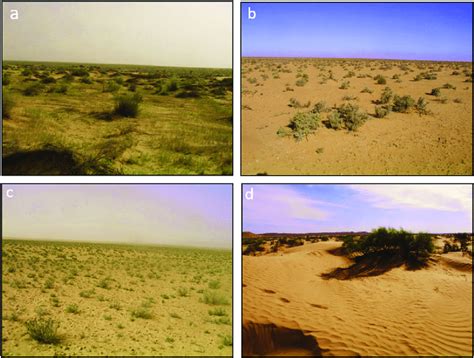 Vegetation Types on Rangelands - raincitystudios.com