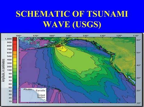 Vegetation-based approached for tsunami risk reduction: Insights and ... - raincitystudios.com