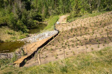 Vegetative Barriers For Erosion Control - raincitystudios.com