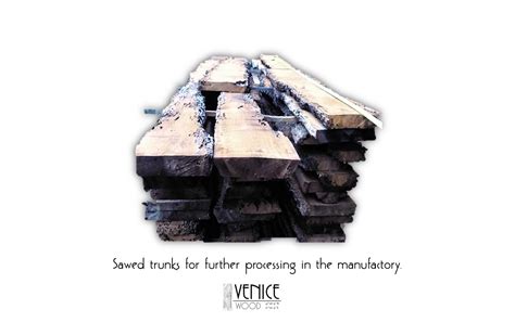 Venice Wood: HISTORY - wintechmobiles.com