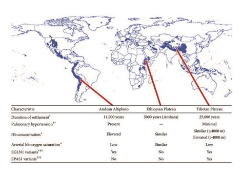 Ventilation in Human Populations Native to High Altitude - balustradellc
