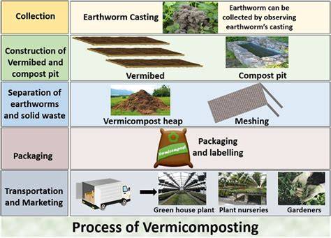 Vermicompost [Preparation Process, Harvesting, Uses, … - raincitystudios.com
