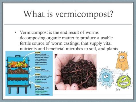 Vermicompost PowerPoint Presentation and Slides PPT PowerPoint - muktibox.com