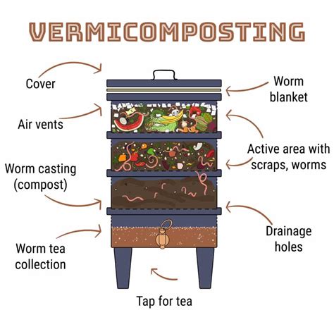 Vermicomposting: Let’s Get Started! - Time to Recycle - raincitystudios.com