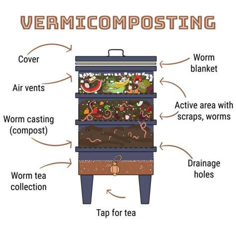 Vermicomposting: The Key To Optimal Worm Bedding - raincitystudios.com