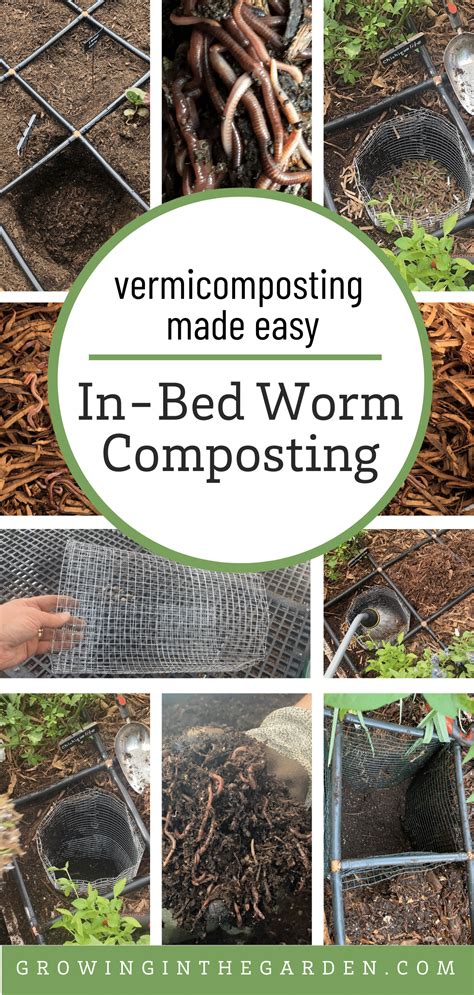 Vermicomposting Made Easy: In-Bed Worm Composting - raincitystudios.com