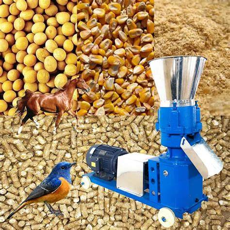 Versatile Pellet Mill for Animal Feed / Machine for Making Pellets for ... - raincitystudios.com
