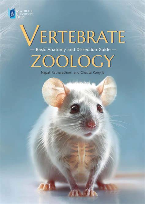 VERTEBRATE VERTEBRATE ZOOLOGY - raincitystudios.com