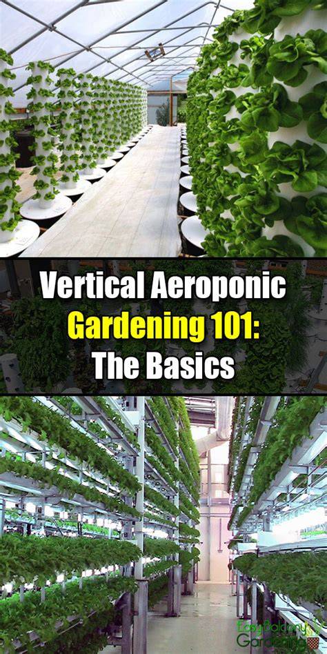 Vertical Aeroponic Gardening 101: The Basics - raincitystudios.com