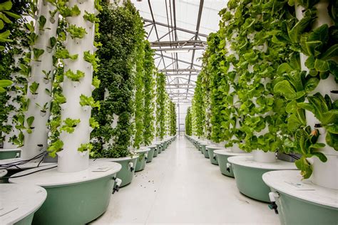 Vertical Aeroponic Systems - GrowSpan - raincitystudios.com