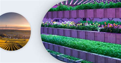Vertical Farming: A Sustainable Answer to Population … - balustradellc