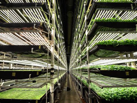 Vertical Farming: How to Produce More Food on Less … - balustradellc
