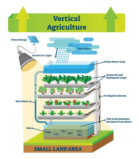 Vertical farming | Description, History, Aquaponics, … - balustradellc
