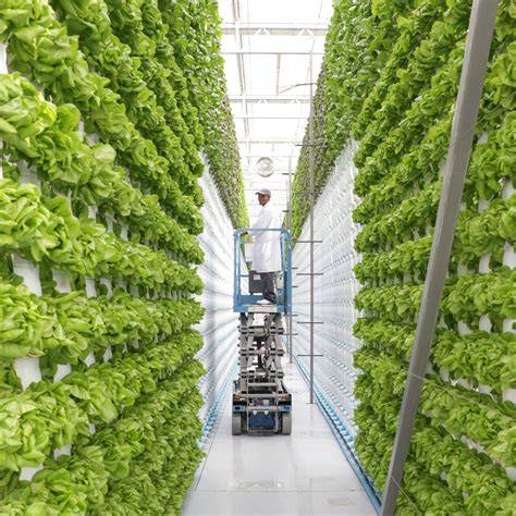 Vertical Farming | Tower Garden | Tower Farms - raincitystudios.com